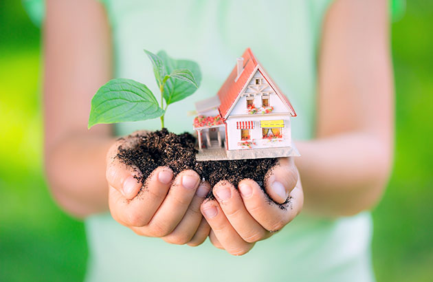 Go Greener at Home